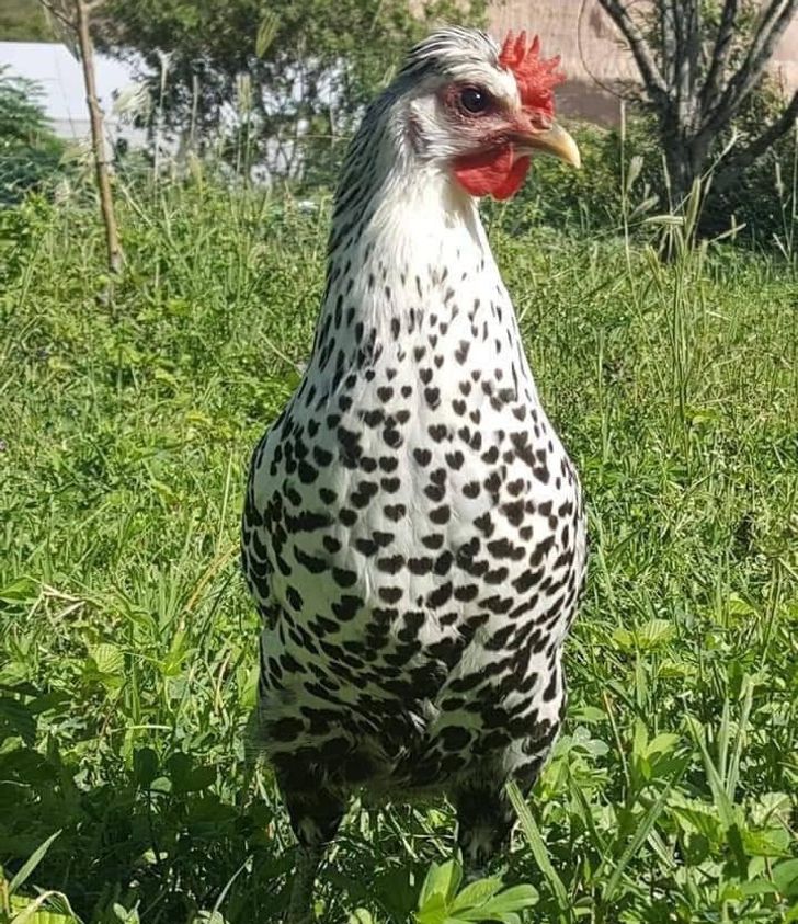 045b795e249e279feea17355f1