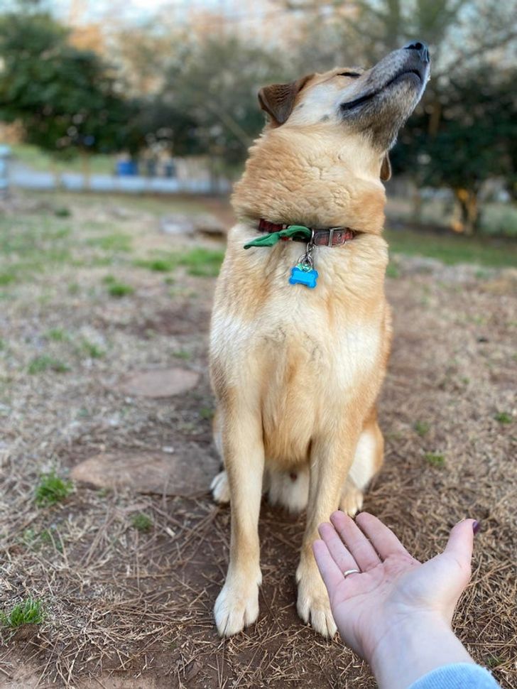 0461dd51898a76f31de6fa3c0f