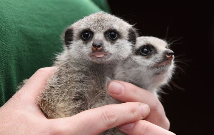 046a0651109a96557e28c3aefe