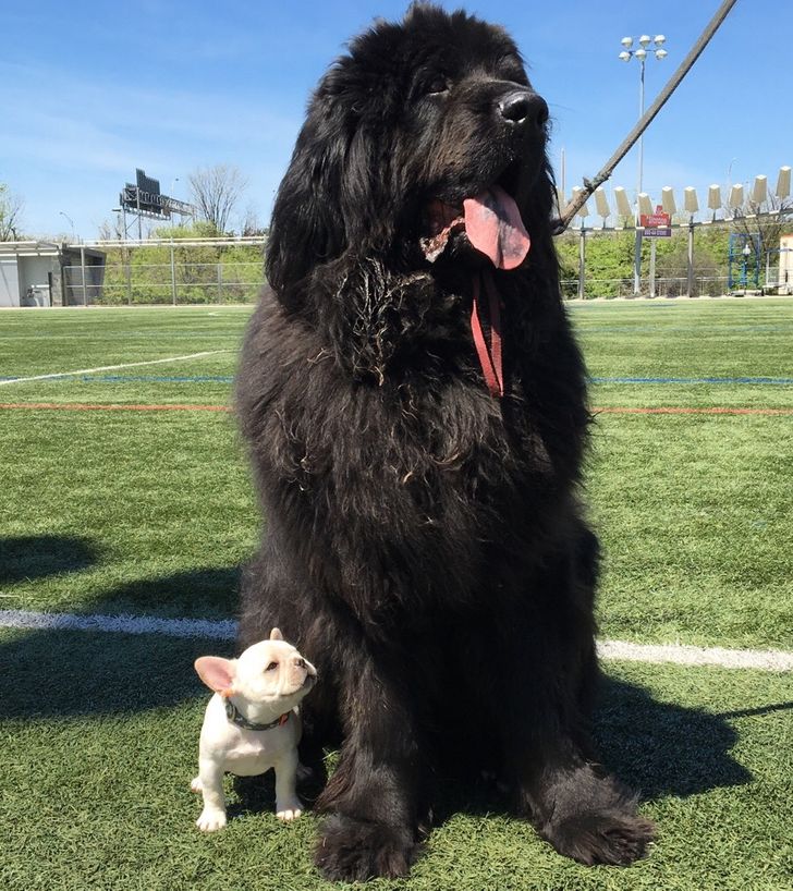 046a5a5c31b4df29d624c08da2