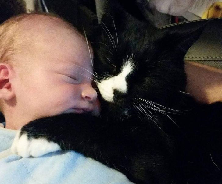 046eef526cb5ae2472f9c528e3