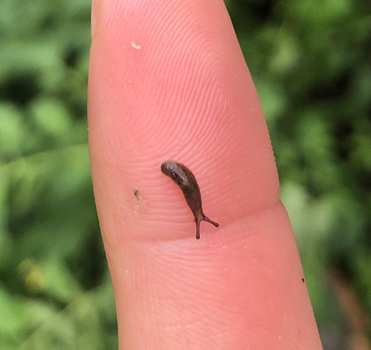 046fc6586b9ac5381280b78b85