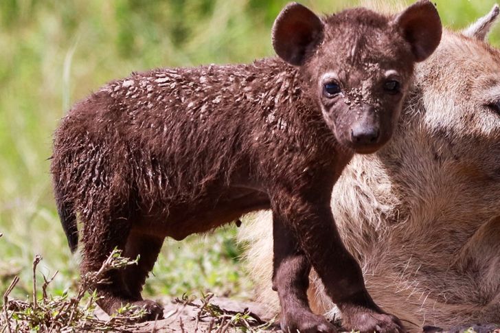 0470d5536e8e62fec65d3a3de5