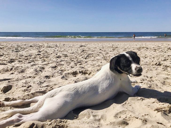 0472025db4bcc47e0580bb48a9