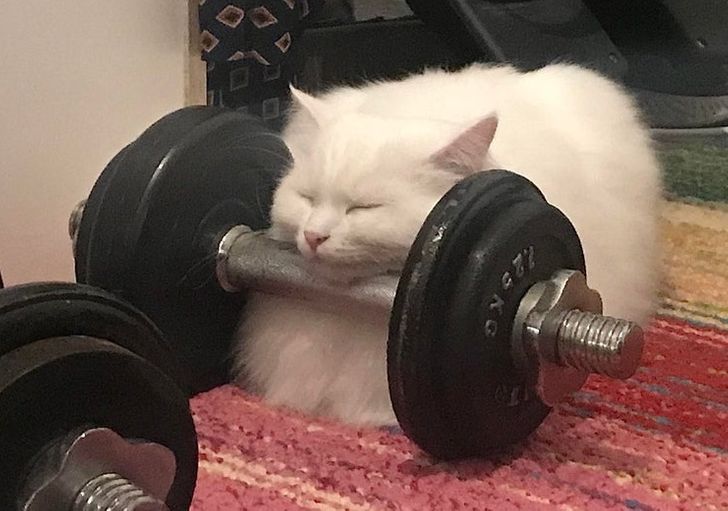 0473375998a1ec89403e9ac72b