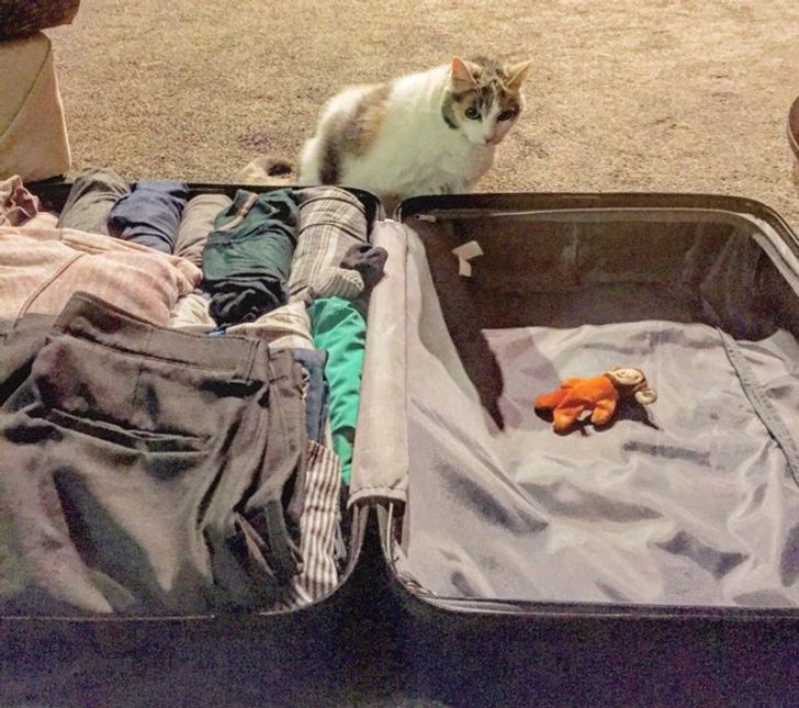 0478995af592f2a12d27f6456f