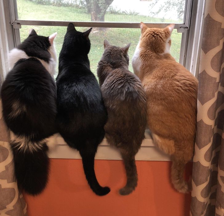 047d4c564bab0bcdb13b382e1b