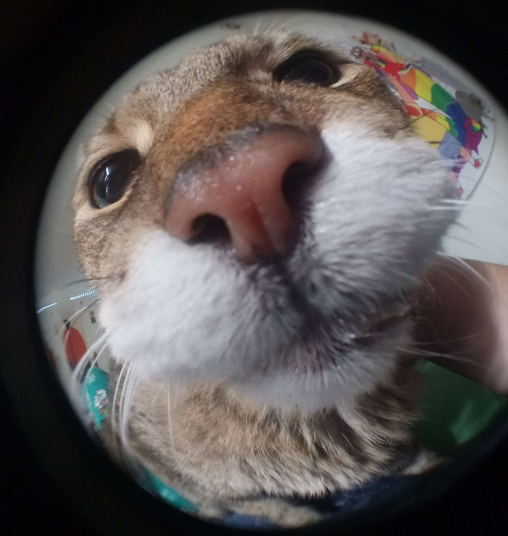 048c4d5ef2a59a382c4c2e6932