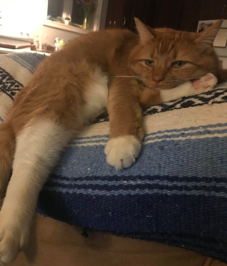 048e055c9bb5ae5d678d32c2c2-1