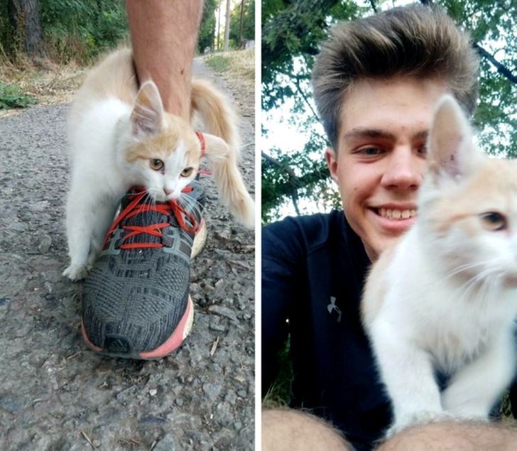 0494db513d9113733e1783b888