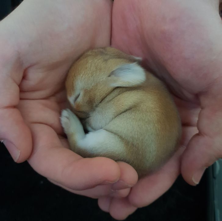 049ce454a1b5a9b7ad2abcd864