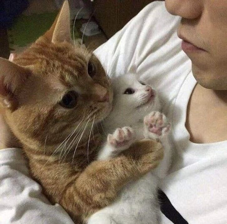 04a7985df3a12e99bdfbabb485