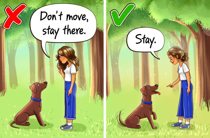 04a8d950baae54274d45e96758