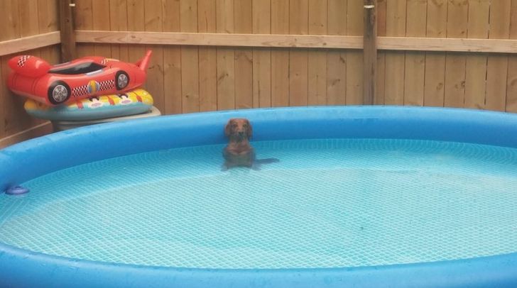 04bf14585f963a5f4cb98d77ea