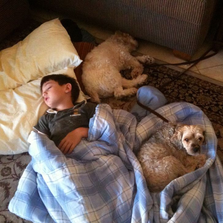 04c0a1546a955d86f72190fafd