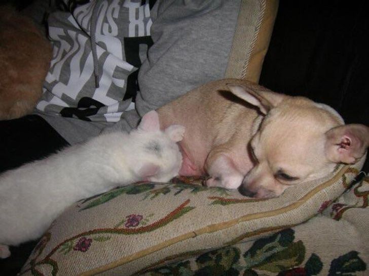 04c30a5e0fa599e2a1a91c95d6