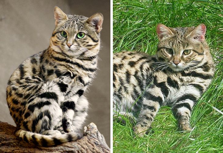 04c73b56fd9a0a9dec0426e6a6