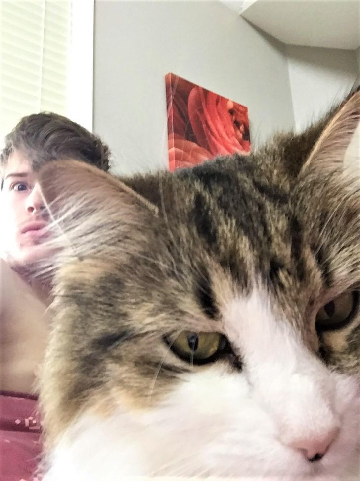 04cc7f522cb67e655800342f32