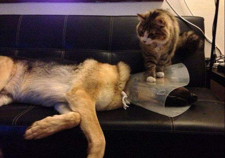 04cebe536b948830eeb51d4765