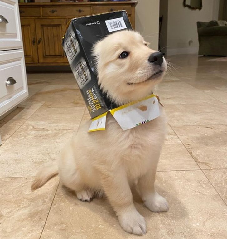 04de815a4396b4cb5060f4f55a