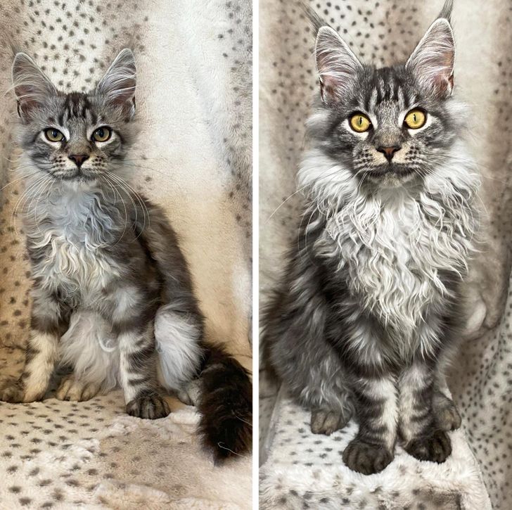 04dfe05b42a909ead9b37f4f17