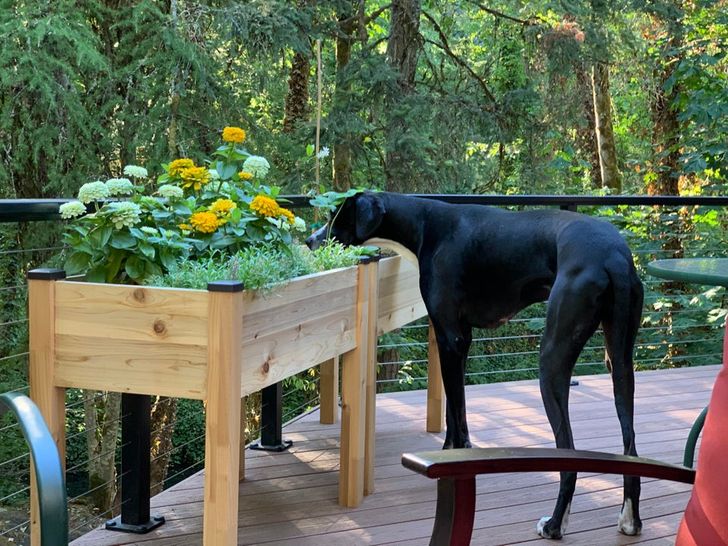 04e42c531ab46eb8f61d360436