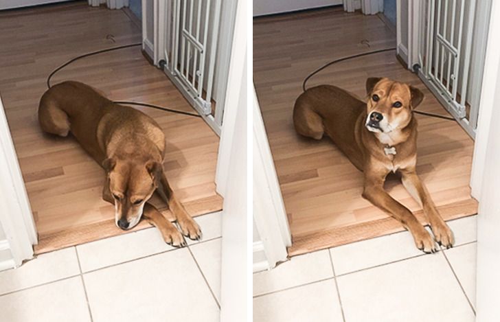 04e4bf537c963f152fe2e7fc55