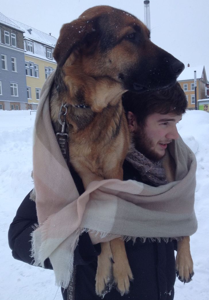 04eaf45b309b2c4511f19e422f