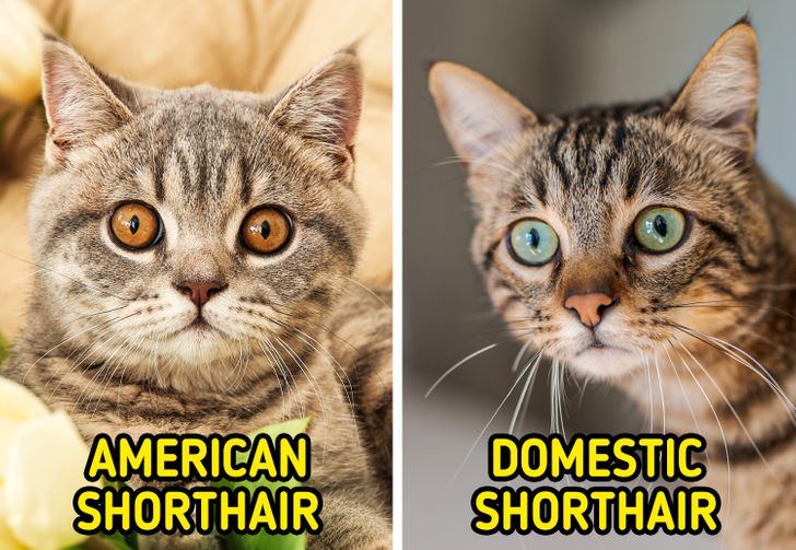 04f6c55e17801f72e769f3151d