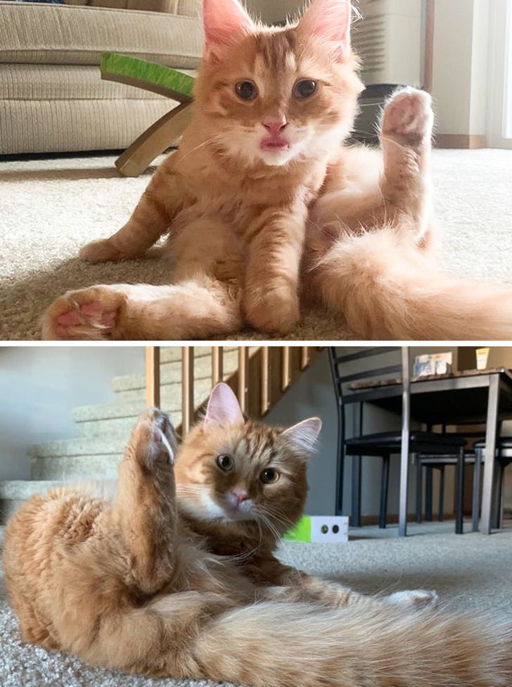 0503d356fc8c221cf5c2a51fac