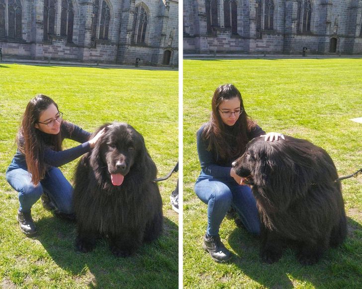 0505e65e98aed947cefa8fd0f6