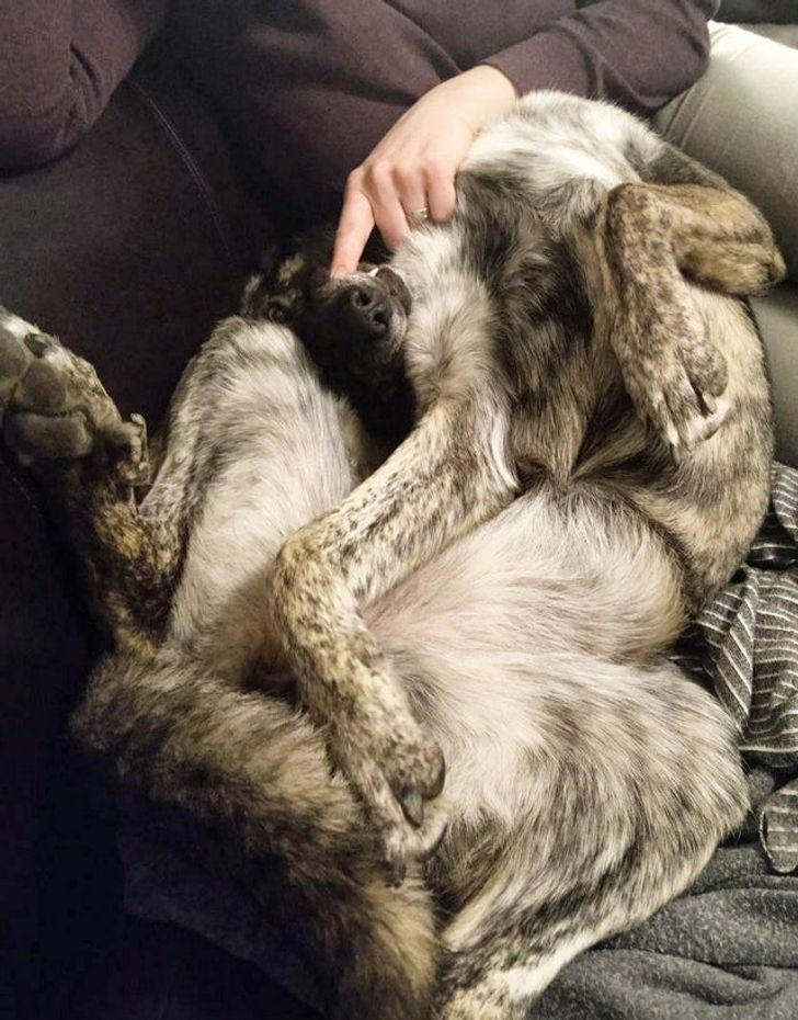 05064455d4b7b209587d116c5b 05064455d4b7b209587d116c5b