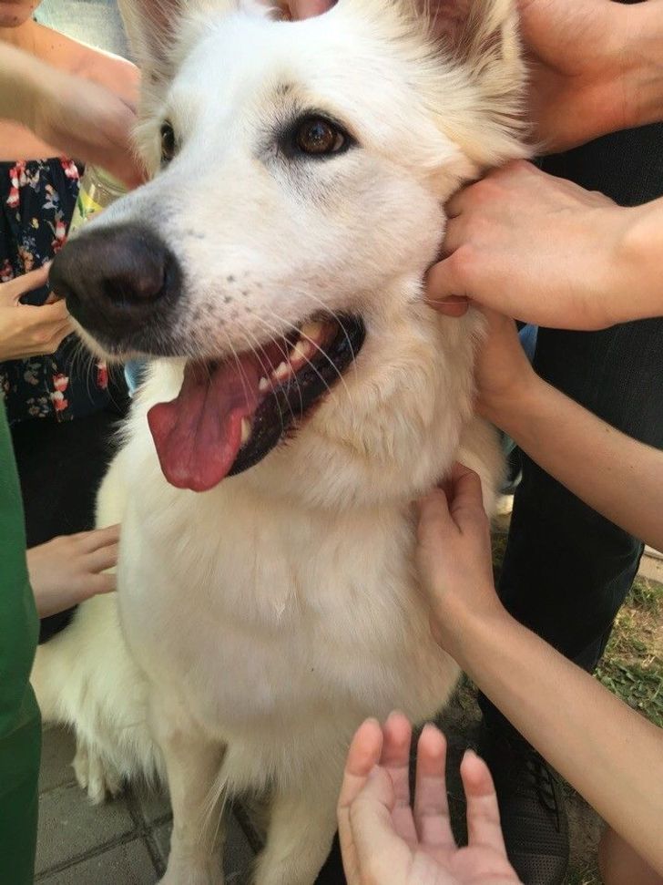 050c845022a685614717f4cc09