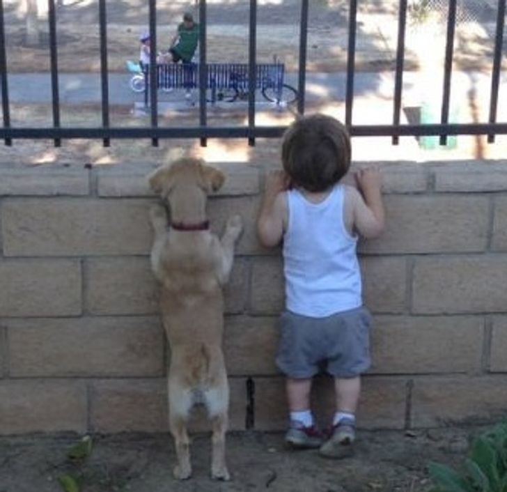 0514d759f1b80fc945aa8c17ad