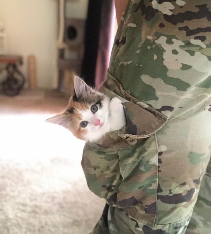 05161c572782c2f36ec7a9649c