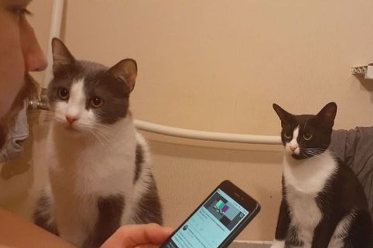 051b165eeeb06188b42727fc49