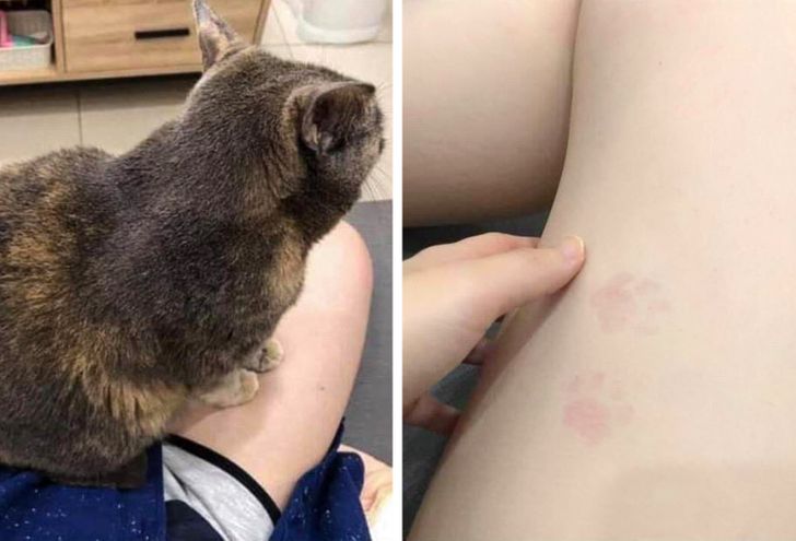 051cd555dcb831945157a5c8f2