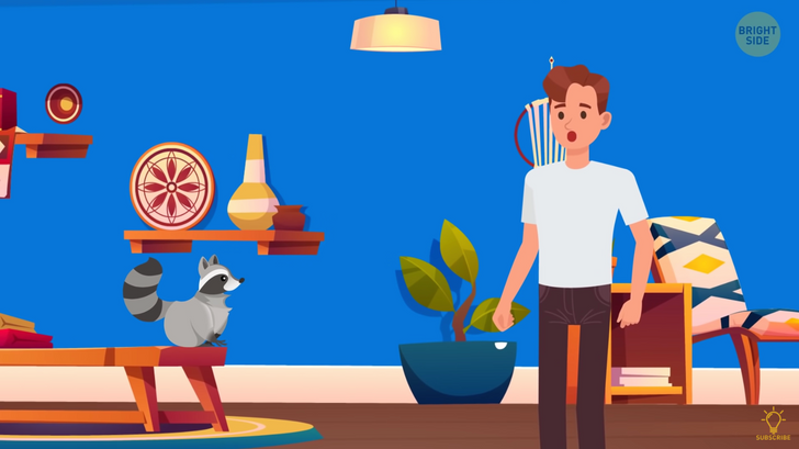 0521b25d2fabbf132f22a98c2f