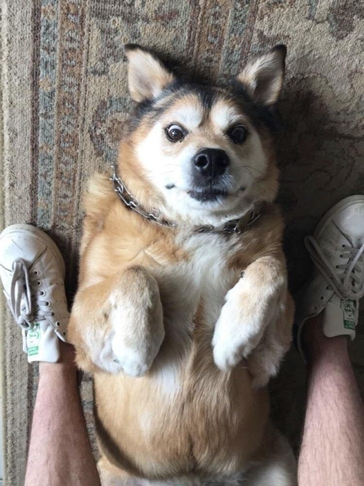 05248954bcb13801aad587b5e2