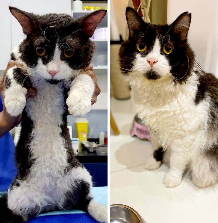 05261d5b22a77fab7c4c852608