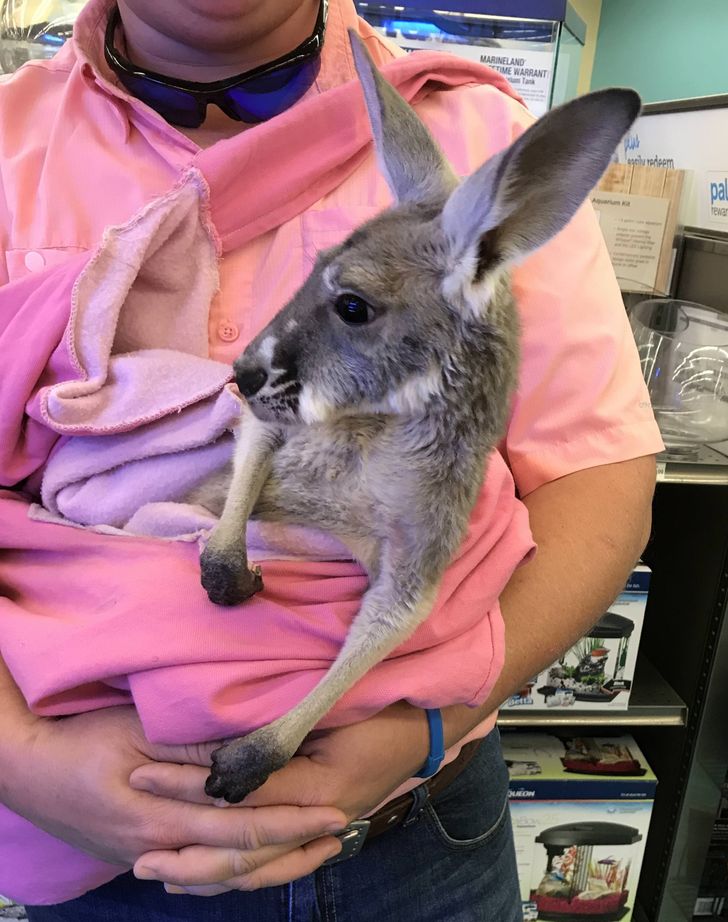 0526ac5eb5a35dea124d087ec6