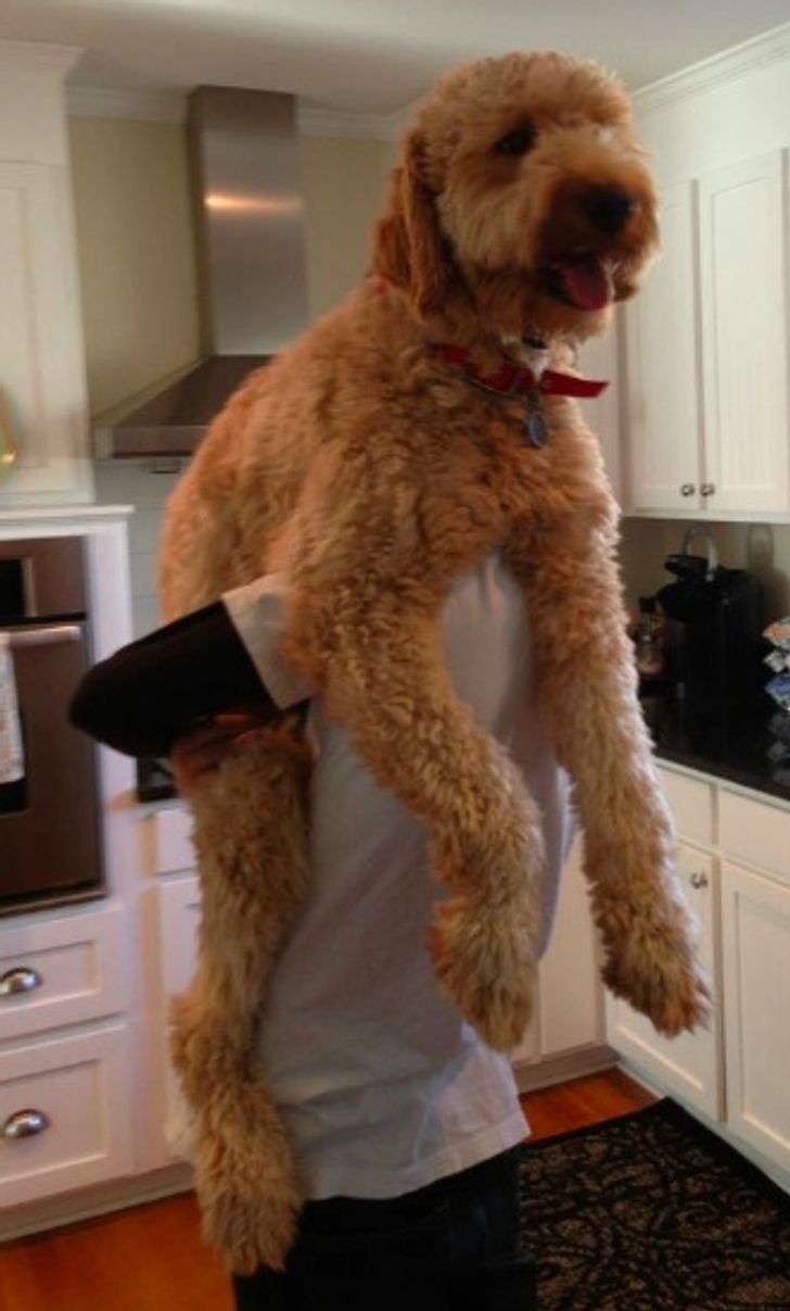 05297c535cb393bcbe3a3e91b3