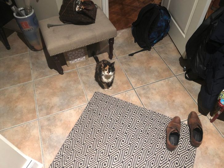 052a1b55fabf2854f8fe1e0f29