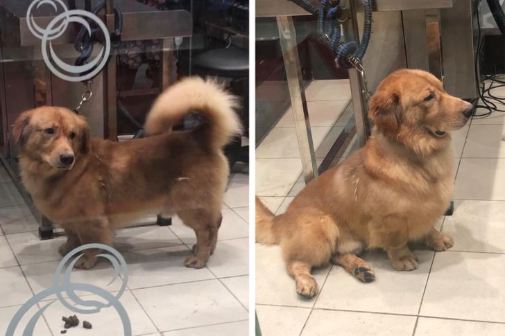 052a2c5a1e9b42248dba5a25e8