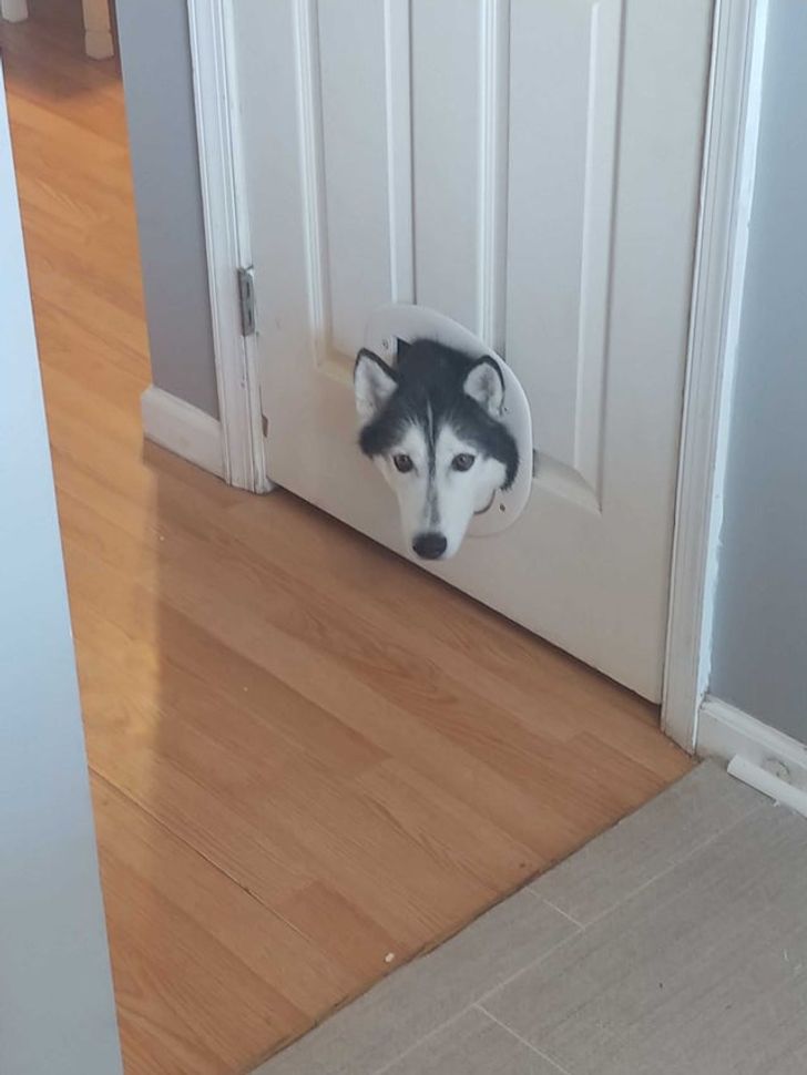 052a5d50cf9b60aeca7ecddb5f