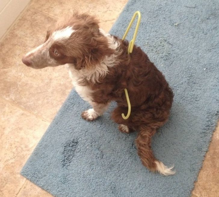 052e9c5ff6ae6b7f68c7865263