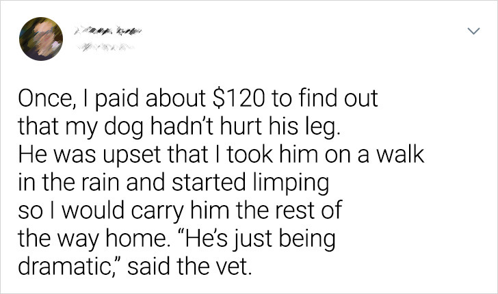 053d6b58b2a7c9272bc4ad88df 053d6b58b2a7c9272bc4ad88df