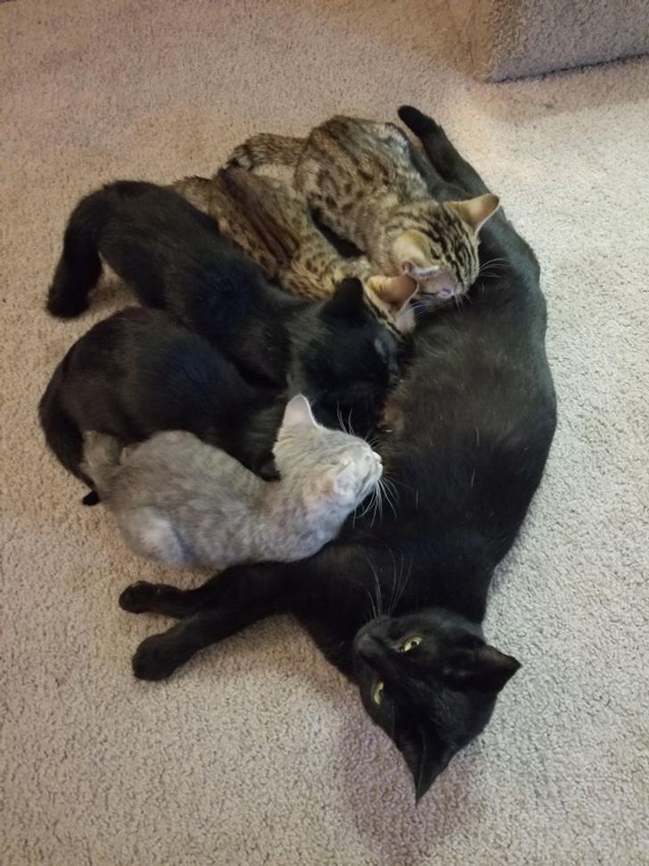 054b705d9bb913fb5bec225988