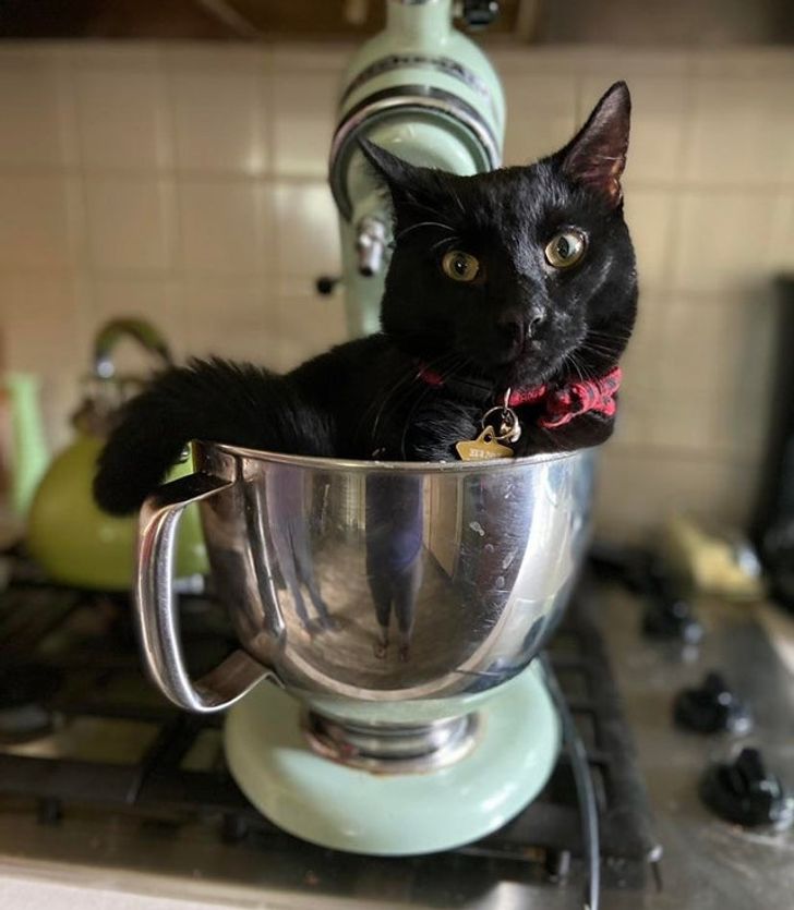 0550375f108592ec117bd93702