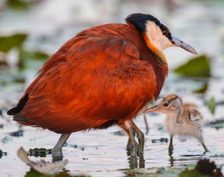 0555c1540da5cf184a38347330